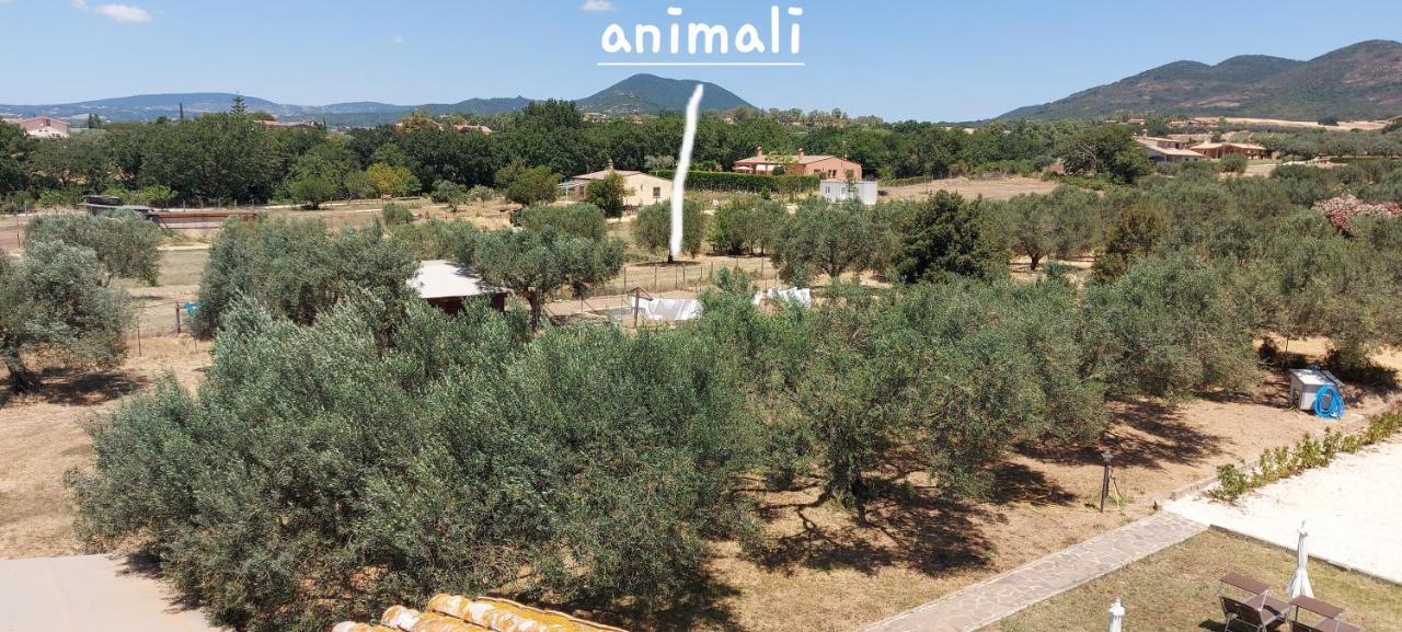 Villa Klinai Cerveteri Εξωτερικό φωτογραφία