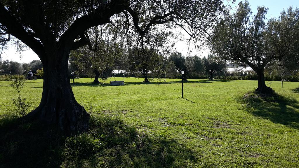 Villa Klinai Cerveteri Εξωτερικό φωτογραφία